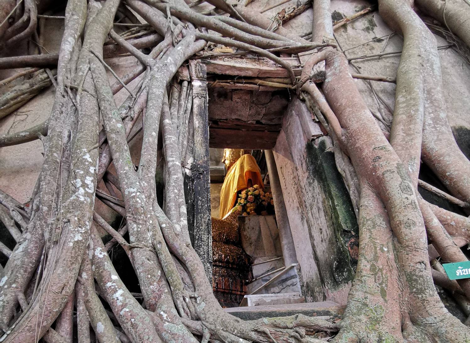 Visiting Wat Bang Kung Temple, Amphawa