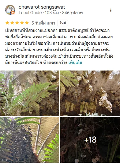 Google reviews: หุบป่าตาด, อุทัยธานี