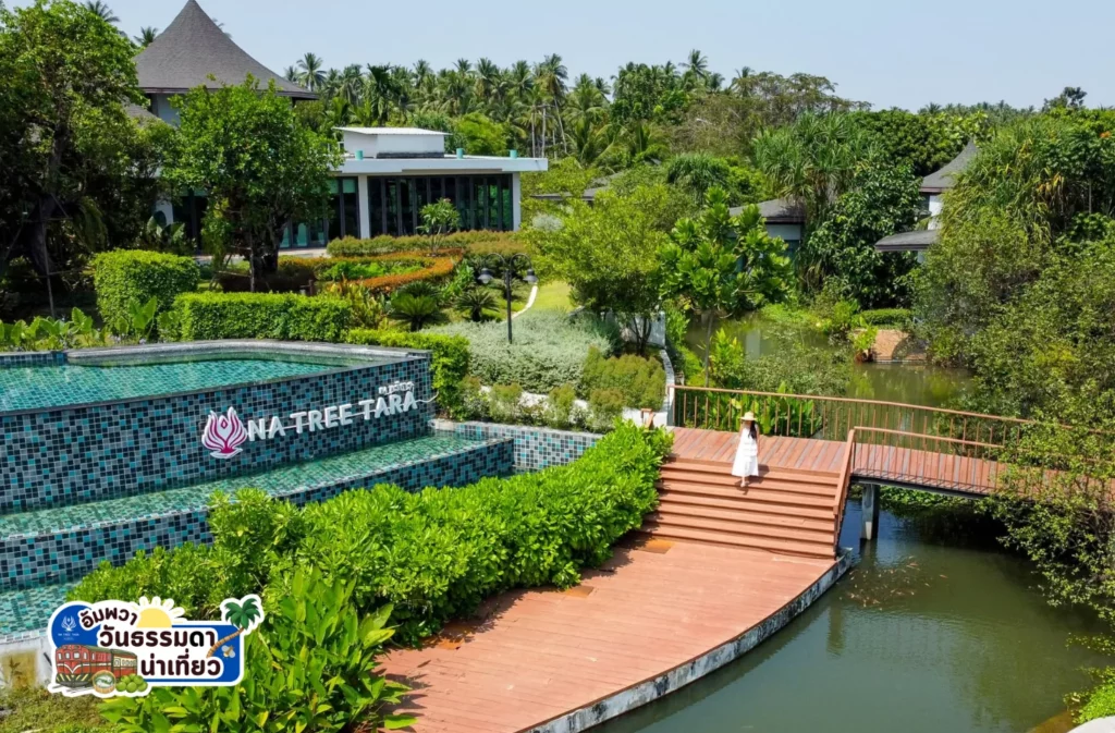 รีวิวที่พักอัมพวาสวยๆ ริมน้ำ ณ ทรีธารา โดยเพจอยากเที่ยวต้องได้เที่ยว พักห้อง One Bedroom Suite Jacuzzi บรรยากาศสวยๆ มองจากห้องพัก และ ทานอาหารริมน้ำ