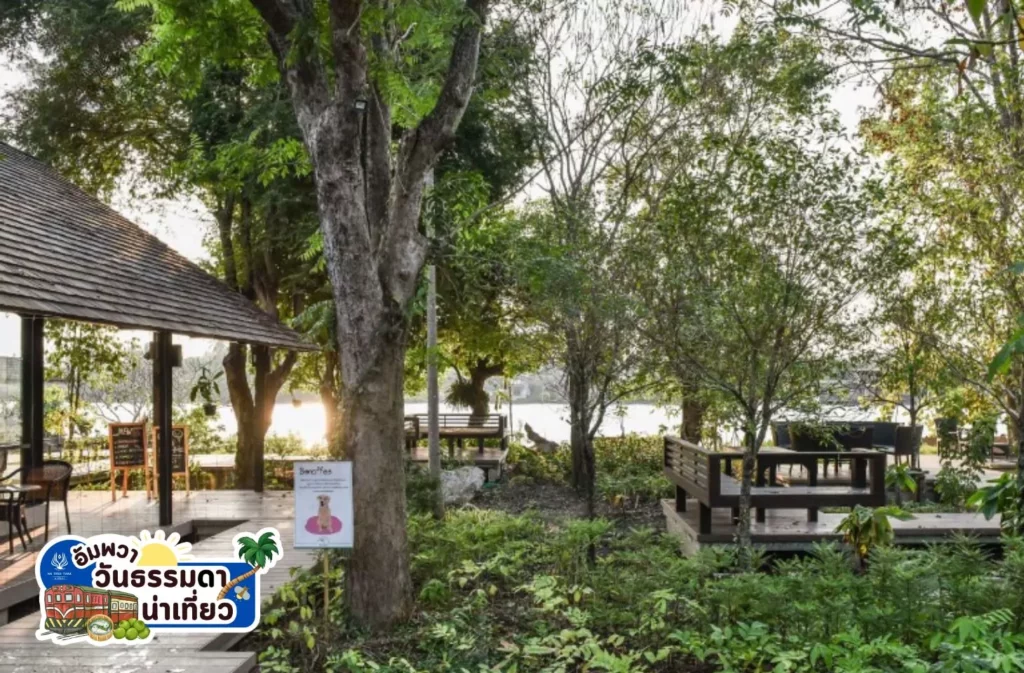 เที่ยวอัมพวา Somdul Agroforestry Home & Café